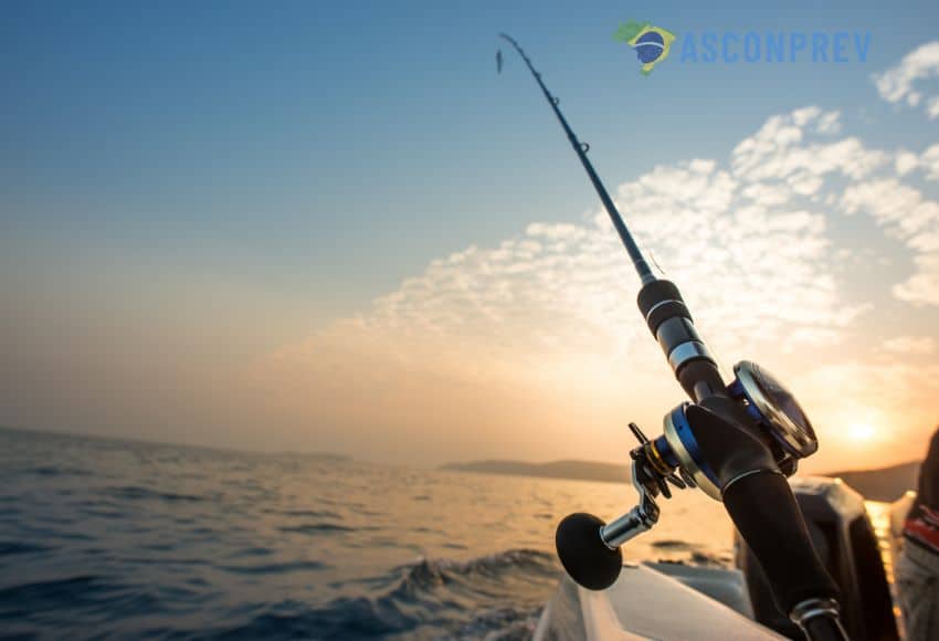 Ministério da Pesca detalha como obter licença anual para pesca amadora ou esportiva